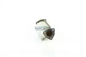 walker-15873