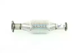 walker-18361
