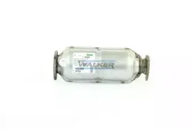walker-19154