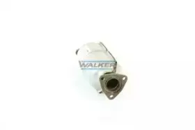 walker-19154