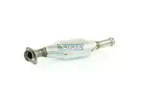 walker-19774