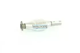 walker-20052