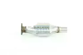 walker-20054
