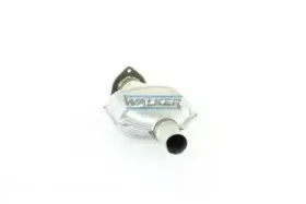 walker-20054
