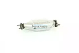 walker-20071