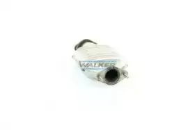 walker-20071