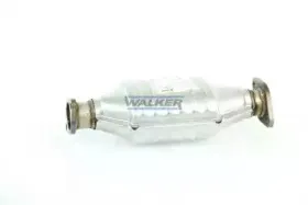 walker-20072