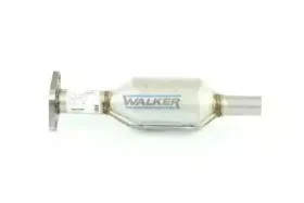 walker-20078