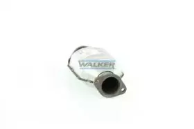 walker-20086