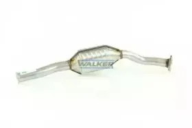 walker-20096