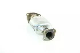 walker-20113