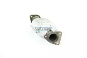 walker-20113