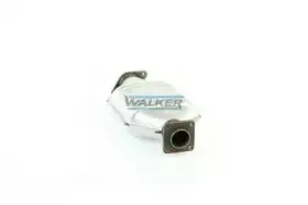 walker-20122
