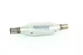 walker-20124