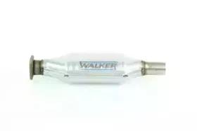 walker-20125