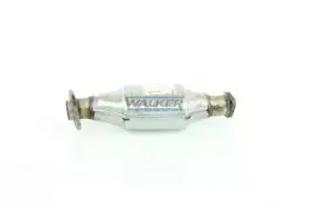 walker-20127