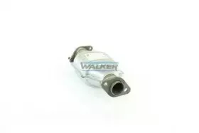 walker-20127