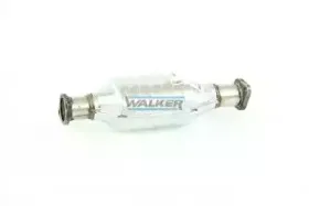 walker-20135