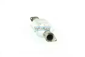walker-20135