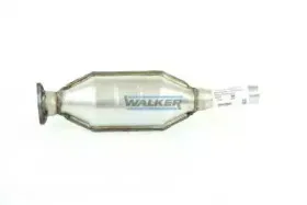 walker-20196