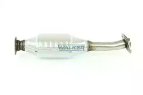 walker-20225