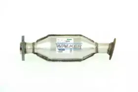walker-20236