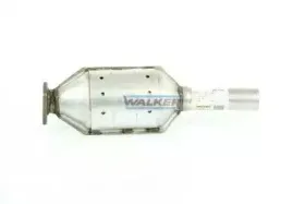 walker-20249