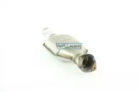 walker-20250