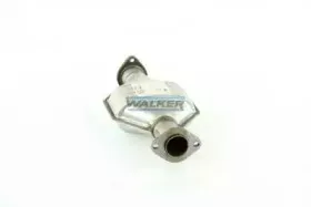 walker-20263