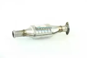 walker-20398