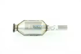 walker-20529