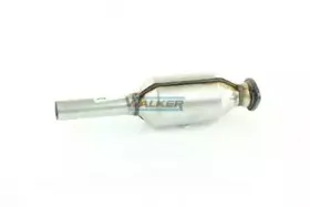 walker-20529