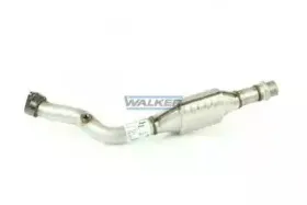 walker-20646