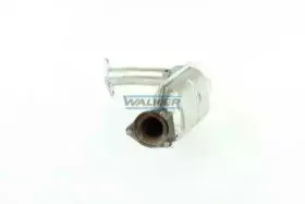 walker-20736