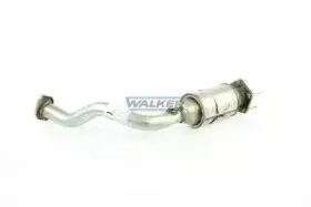 walker-20794