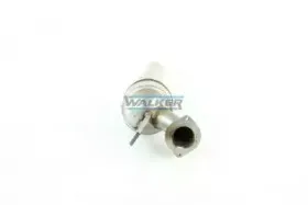 walker-20878