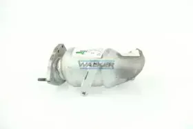 walker-20933