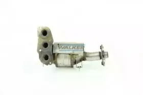walker-20951