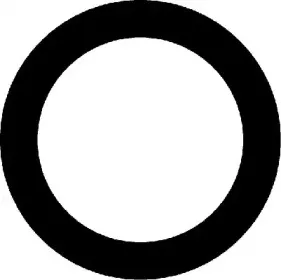 023191H CORTECO Прокладка, впускной коллектор