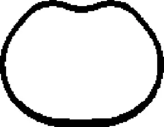 450136H CORTECO Прокладка, впускной коллектор