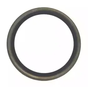 12006467B CORTECO Уплотнительное кольцо, поворотного кулака