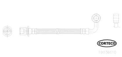 19036110 CORTECO Тормозной шланг