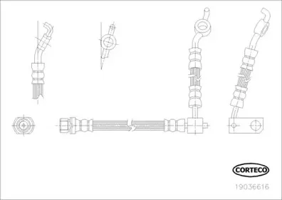 19036616 CORTECO Тормозной шланг