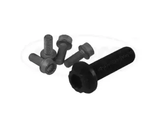 80005272 CORTECO Комплект болтов, ременный шкив - коленчатый вал