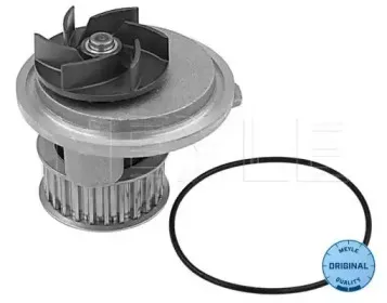 613 220 0011 MEYLE Водяной насос