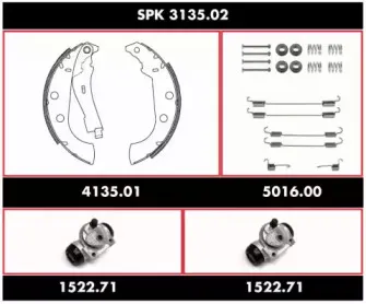 remsa-spk313502