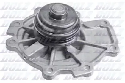 F142 DOLZ