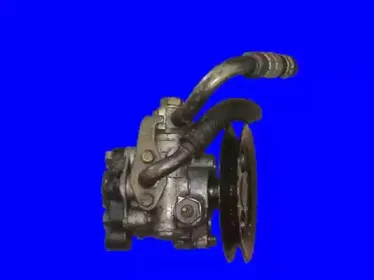 urw-3266505