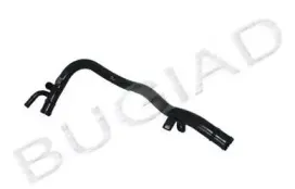 BSP20997 BUGIAD Трубка охлаждающей жидкости