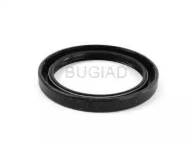bugiad-bsp21115